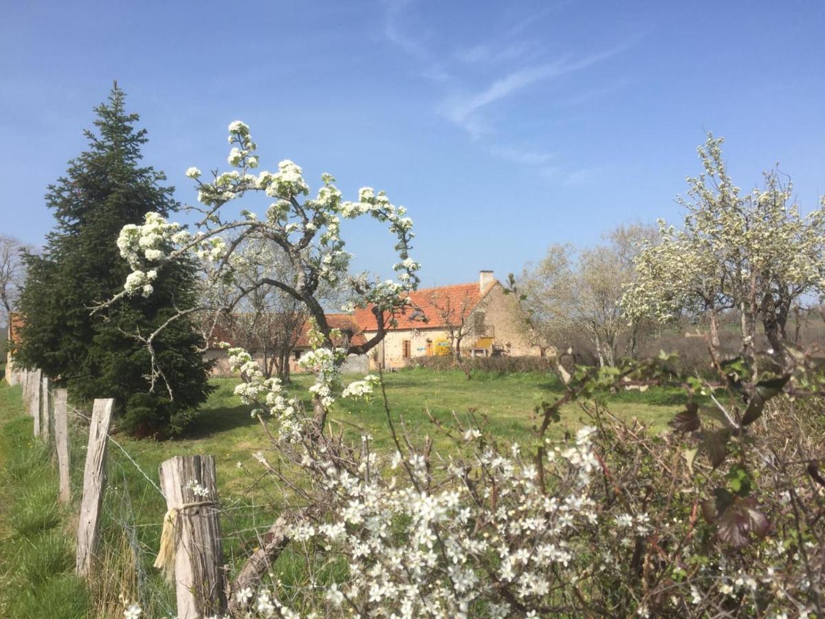 Chambres D'Hotes Domaine Les Grands Perons Herisson Exterior photo